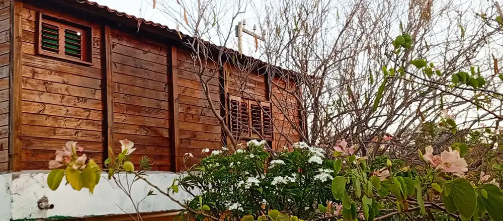 Estrutura